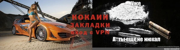 бошки Белокуриха