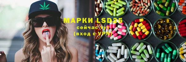 бошки Белокуриха