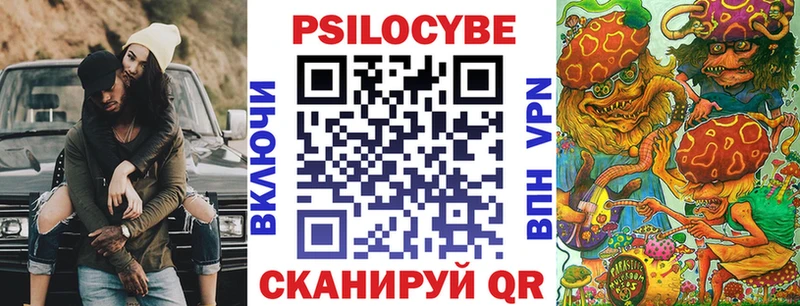 Псилоцибиновые грибы Psilocybe  Купить закладки  Нижнеудинск 